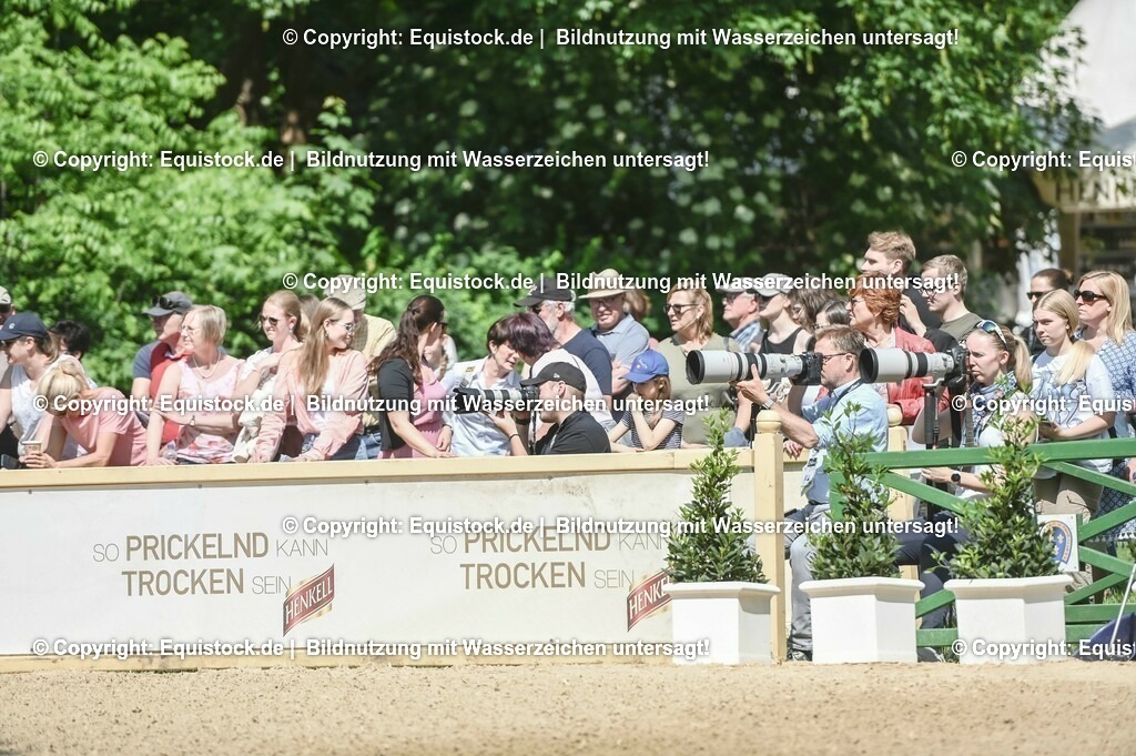 D78_2916 | equistock