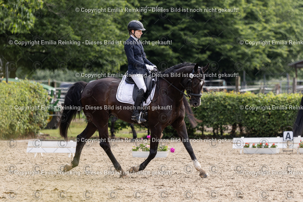 CL5A5169 | Emilia Reinking Fotografie - Realisiert mit Pictrs.com