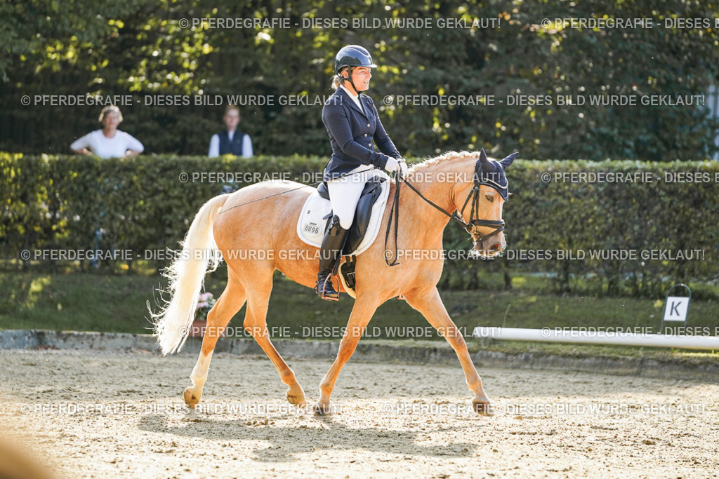 DSC05775 | Pferdegrafie