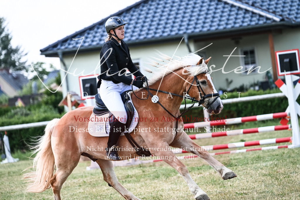 DSC_8749 | Pferde- und Turnierfotografie in Westsachsen. Pferdeportraits, Auftragszeichnungen und intuitive Kunst.