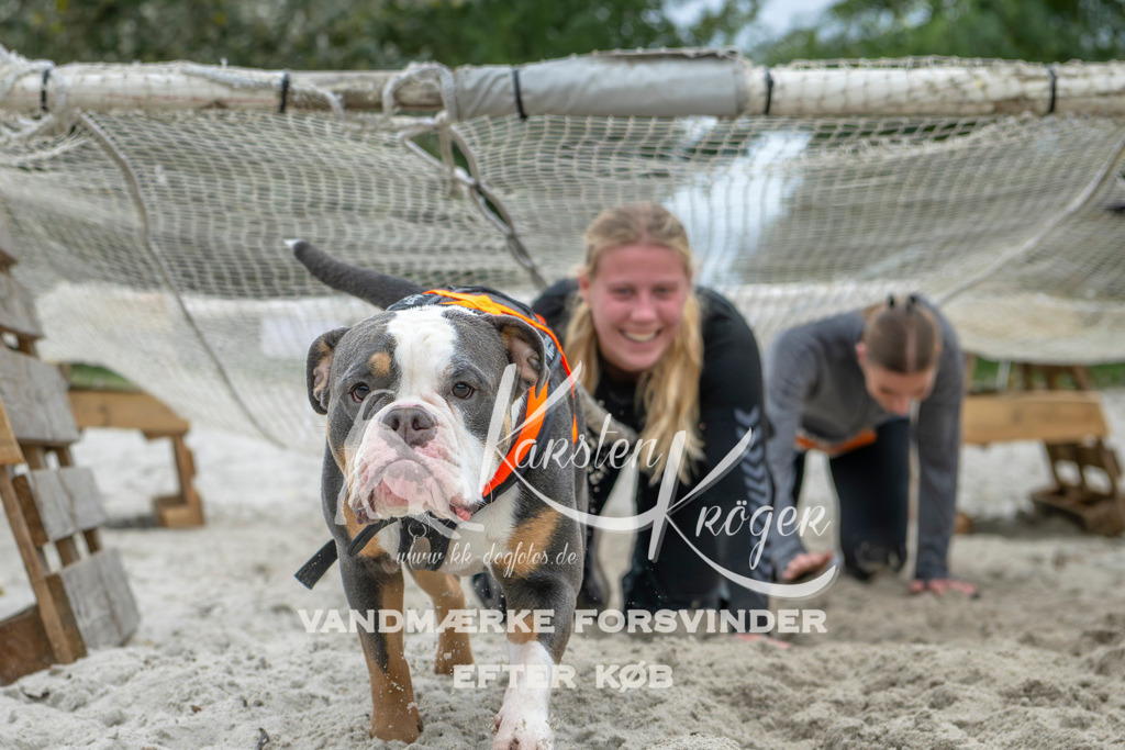 1101_ZZ95187-2 | kk-dogfotos