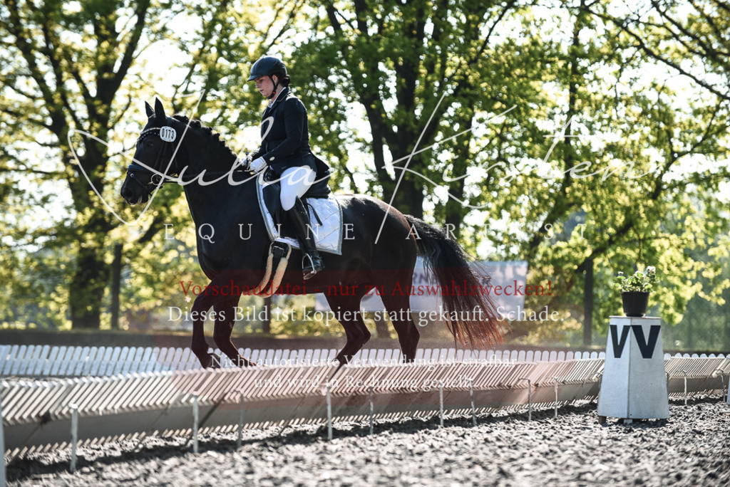 DSC_8639 | Pferde- und Turnierfotografie in Westsachsen. Pferdeportraits, Auftragszeichnungen und intuitive Kunst.