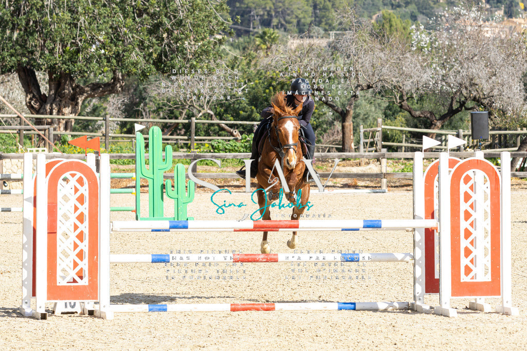 IMG_4061 | s-jay-photography - Realisiert mit Pictrs.com