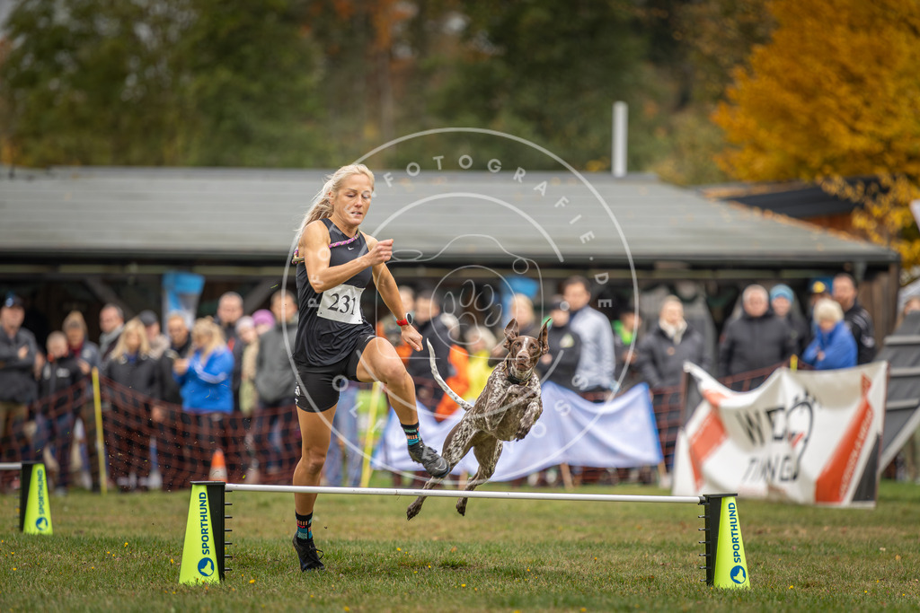 Pfotenfotografie_DV3A3325 | Hundefotografie, Tierfotograf, Pfotenfotografie, Fotoshooting Hund, Hunde Portrait, Hundesport, Hundeportraits, Heideshooting, Hunde, Sportfotograf, Hundefotograf, Turnierhundsport, THS,  - Realisiert mit Pictrs.com
