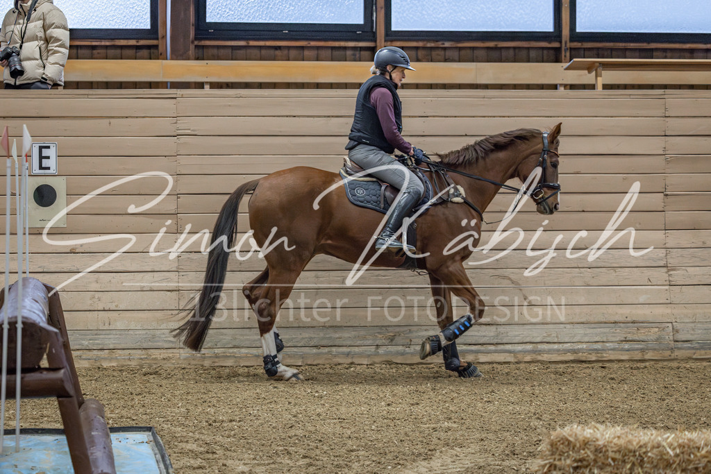 20260221-_3LI8226 | Tierfotografie Pferde, Hunde, Katzen, Haustiere.
Turnierfotografie Reitturniere, Reiten, Springreiten, Dressur in Hanau, dem Main-Kinzig-Kreis und dem Rhein-Main- Gebiet um Frankfurt