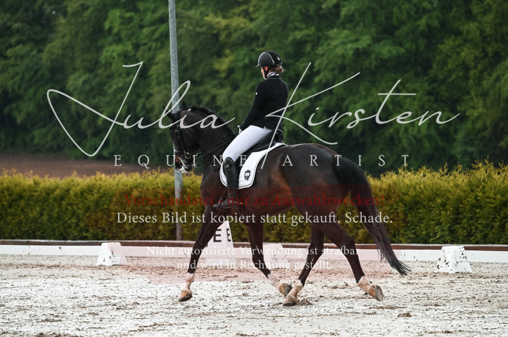 DSC_4342 | Pferde- und Turnierfotografie in Westsachsen. Pferdeportraits, Auftragszeichnungen und intuitive Kunst.