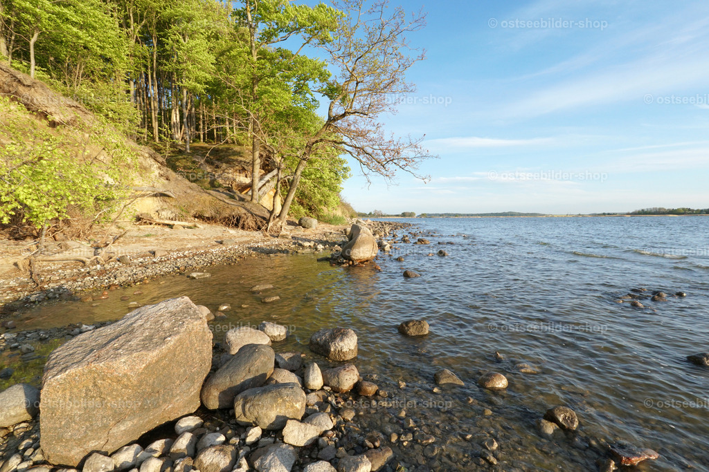 ostsee-jasmunder-bodden-lietzow | Jetzt schöne Ostseebilder für Zuhause bestellen | als Wandbild im Wunschformat | Professionelle Präsentation unter Acrylglas, auf Leinwand oder Alu-Dibond und als Poster