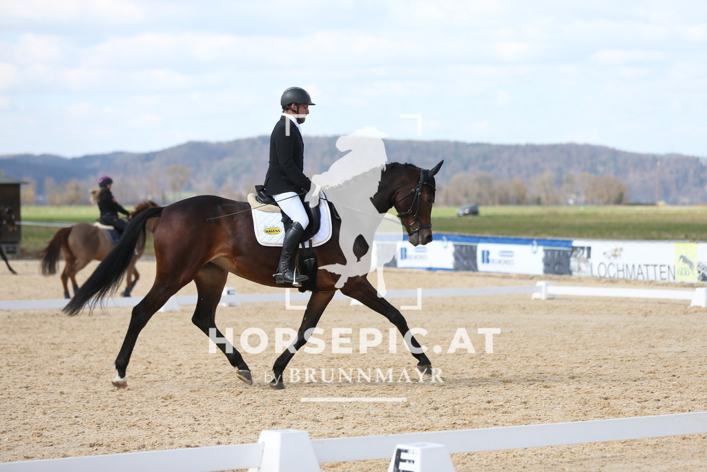 AS8V1629 | Willkommen bei Brunnmayr - Design & Fotografie – Ihrem Spezialisten für Reitturniere und Pferdeveranstaltungen in Oberösterreich, Salzburg und Bayern! Seit über 17 Jahren sind wir leidenschaftlich dabei.