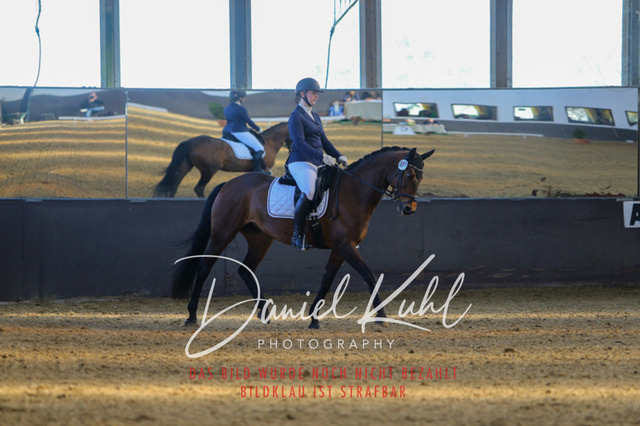 IMG_3064 | Turniersportfotografie; Pferdefotografie; Dressurfotografie