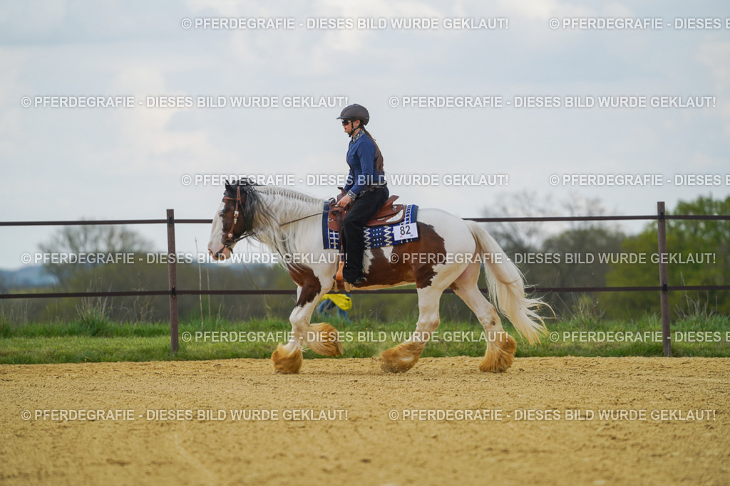 DSC06490 | Pferdegrafie