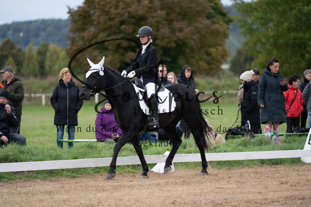 A7V05179 | Pferdefotograf