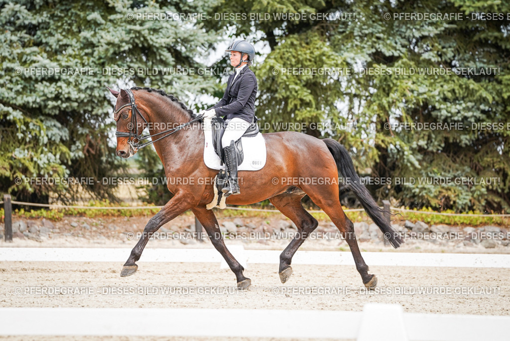 DSC04911 | Pferdegrafie