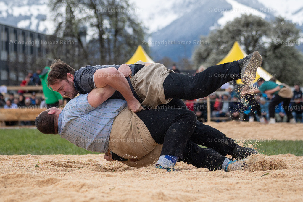 Schwingen -  Rheintal-Oberländer 2024 | Trübbach, 24.3.24, Schwingen - Rheintal-Oberländer.