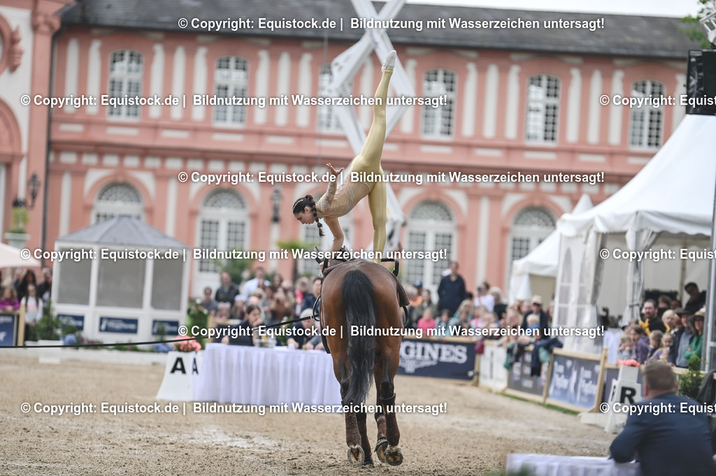 20240519_Voltige_0199 | Foto: Thomas Hartig