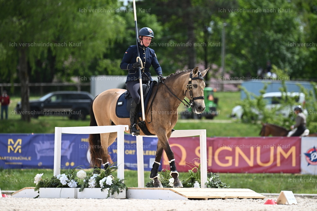 PI26_ST_Sara_Landvogt226_3579.JPG | working equitationturnier fotograf videograf stoibphotography marixx film working equitation deutschland reitsport turnierfotografie eventfotografie equestrian events