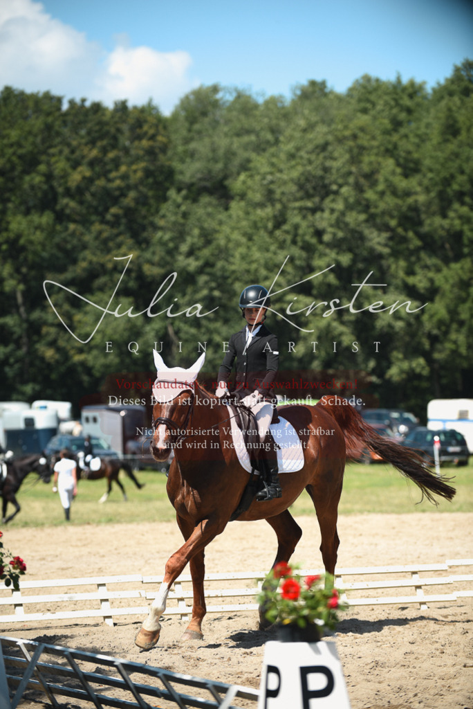 DSC_2170 | Pferde- und Turnierfotografie in Westsachsen. Pferdeportraits, Auftragszeichnungen und intuitive Kunst.