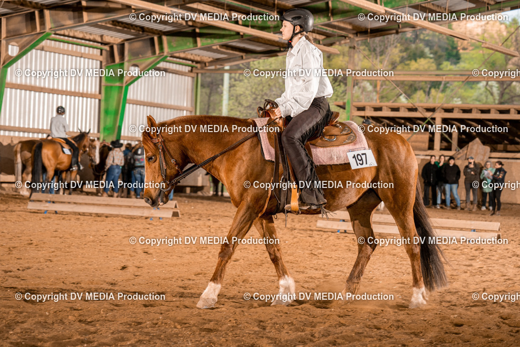 BAL03087 | dv-media-shop - Realisiert mit Pictrs.com