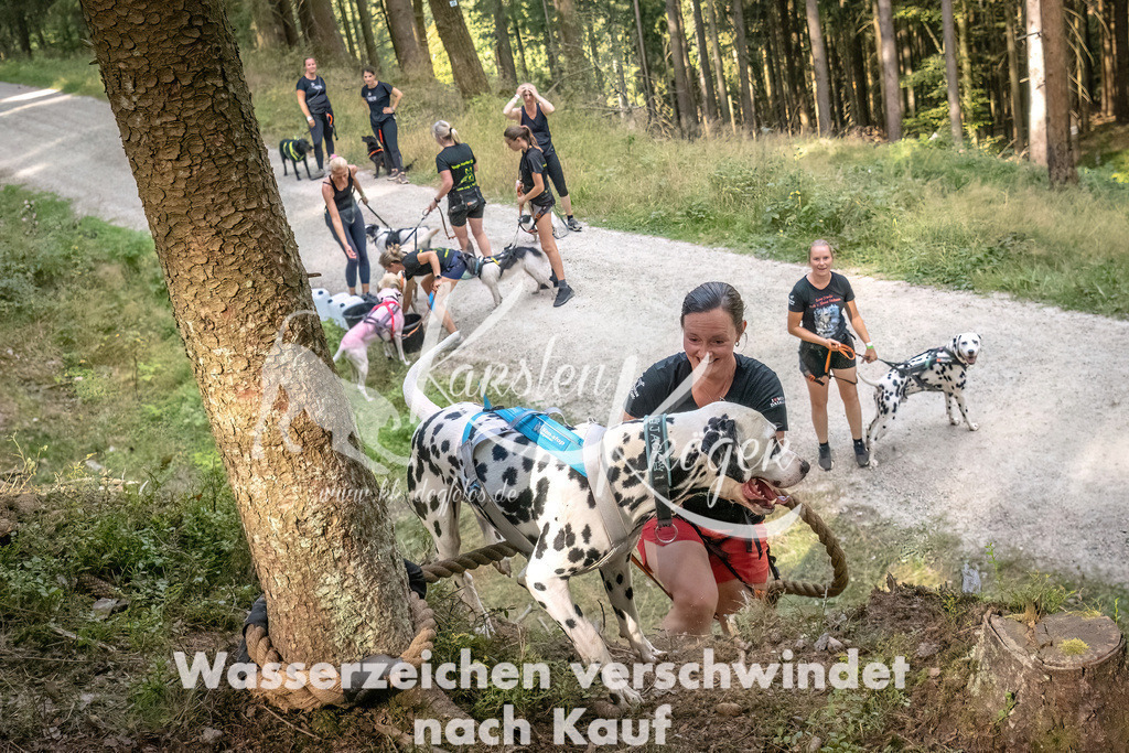 1046_ZZ92209 | kk-dogfotos