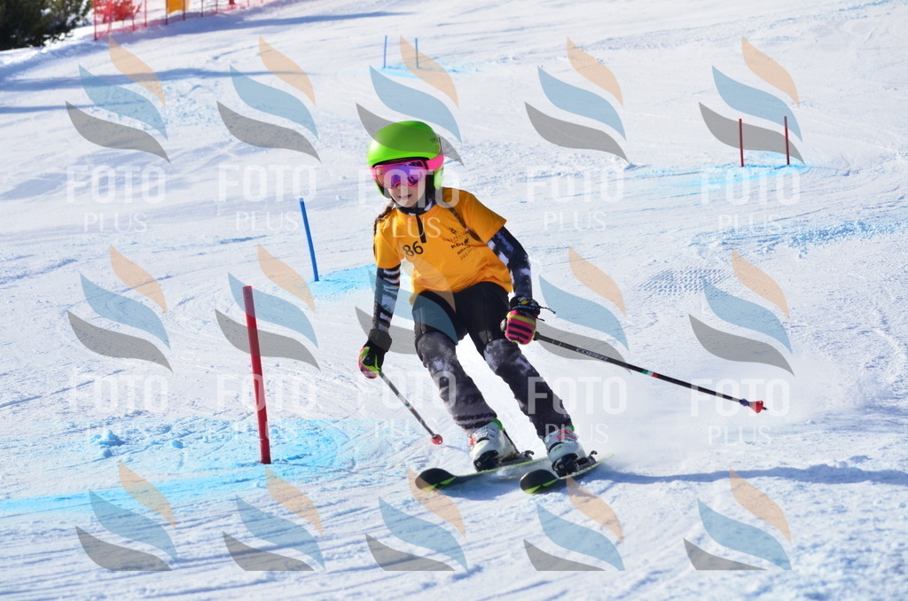 C6030 | holidayphoto