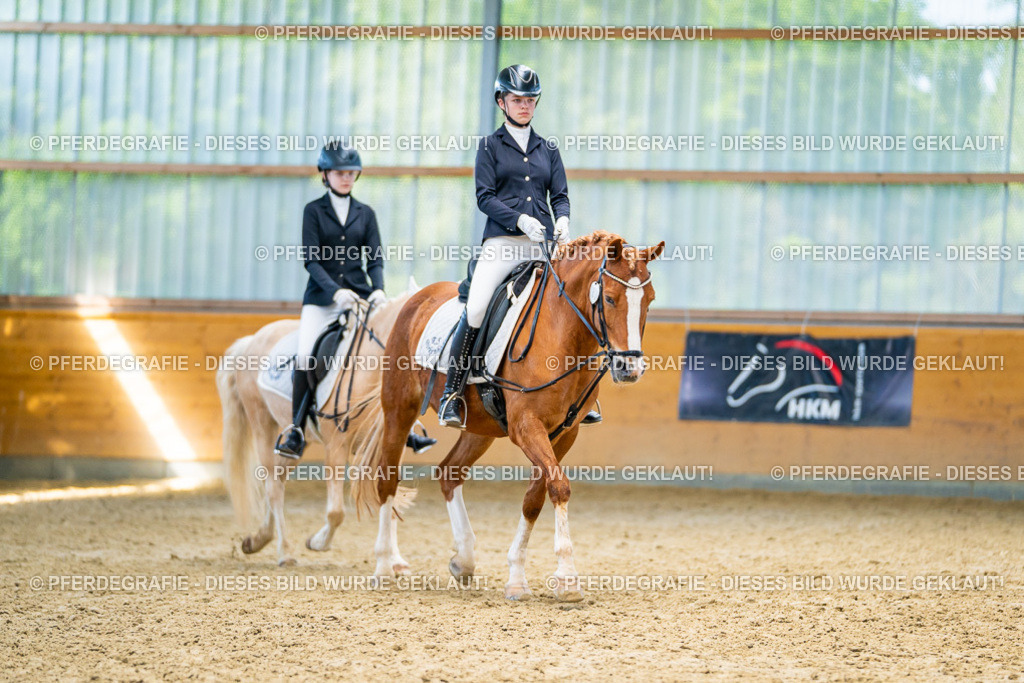 DSC08586 | Pferdegrafie