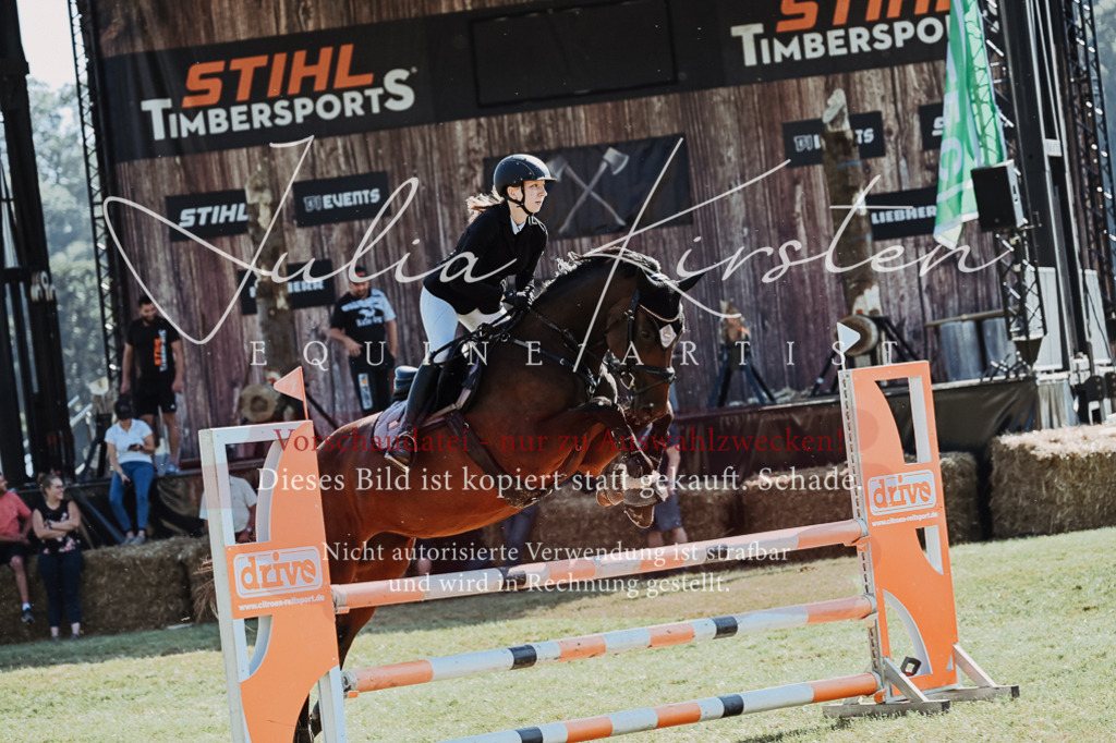 DSC_5638 | Pferde- und Turnierfotografie in Westsachsen. Pferdeportraits, Auftragszeichnungen und intuitive Kunst.