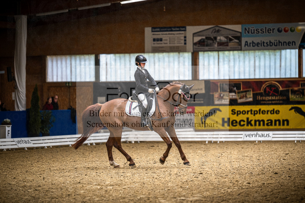 DOS_1368 | Entdecke hochwertige Reitturnierfotos von Foto Oger. Professionell, emotional und authentisch – jetzt Lieblingsmomente im Shop bestellen.Deutschlandweite Turnierfotografie. - Realisiert mit Pictrs.com