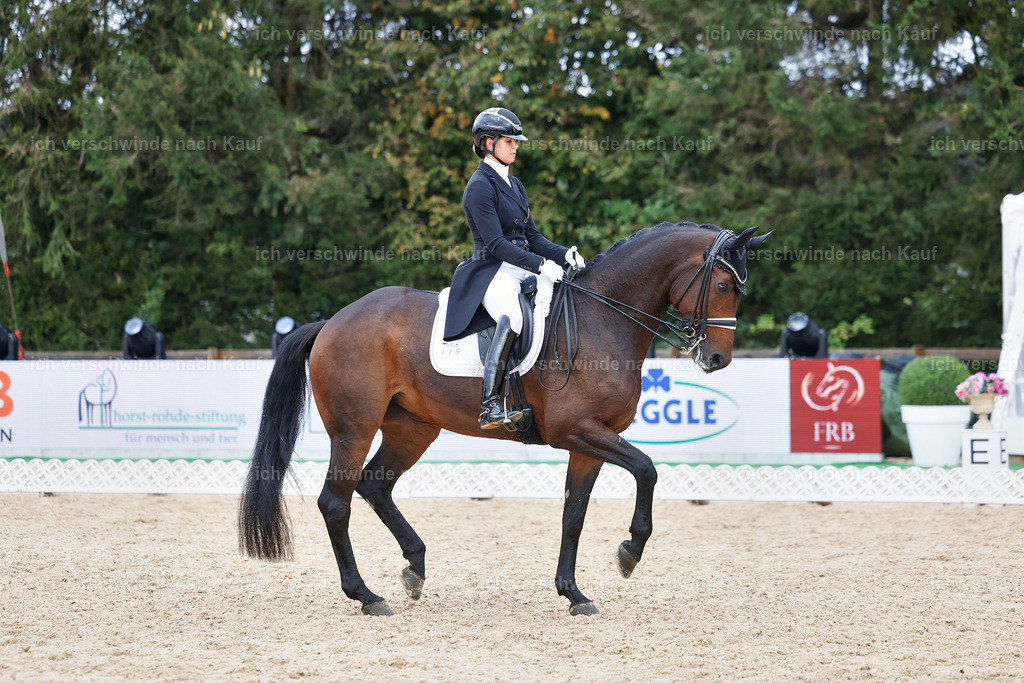 12-110-DRESSUR  S___  -StoibPH-5300 | working equitationturnier fotograf videograf stoibphotography marixx film working equitation deutschland reitsport turnierfotografie eventfotografie equestrian events