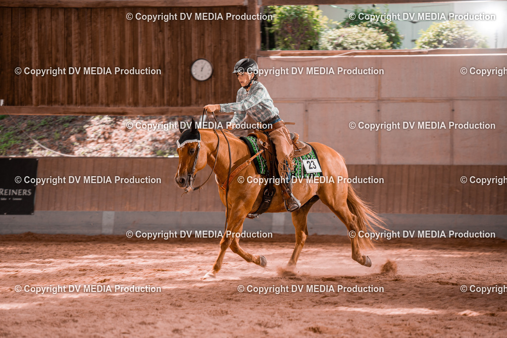 NE200720 | dv-media-shop - Realisiert mit Pictrs.com