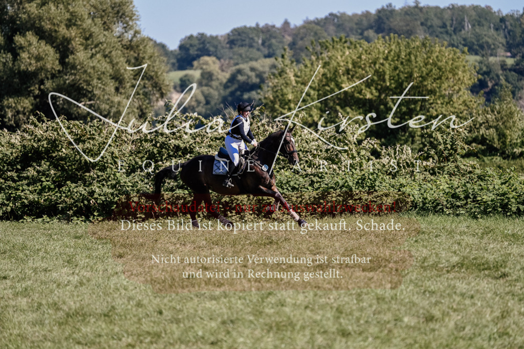 DSC_1863 | Pferde- und Turnierfotografie in Westsachsen. Pferdeportraits, Auftragszeichnungen und intuitive Kunst.