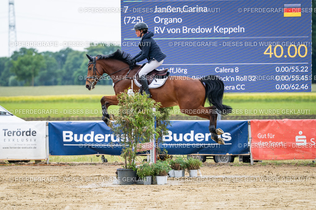 DSC04578 | Pferdegrafie