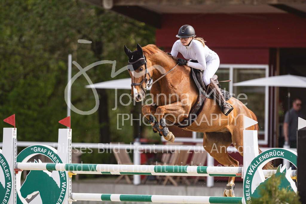 260503_Spenge_7_M2-Spr-m-steig-Anf-718 | Deine schönsten Turniermomente als professionelle Fotos! Entdecke hochwertige Pferdesport-Fotografie im Online-Shop. Jetzt Fotos finden & bestellen!