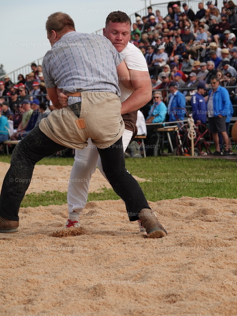 DSC06655 | Schwingen - Realisiert mit Pictrs.com