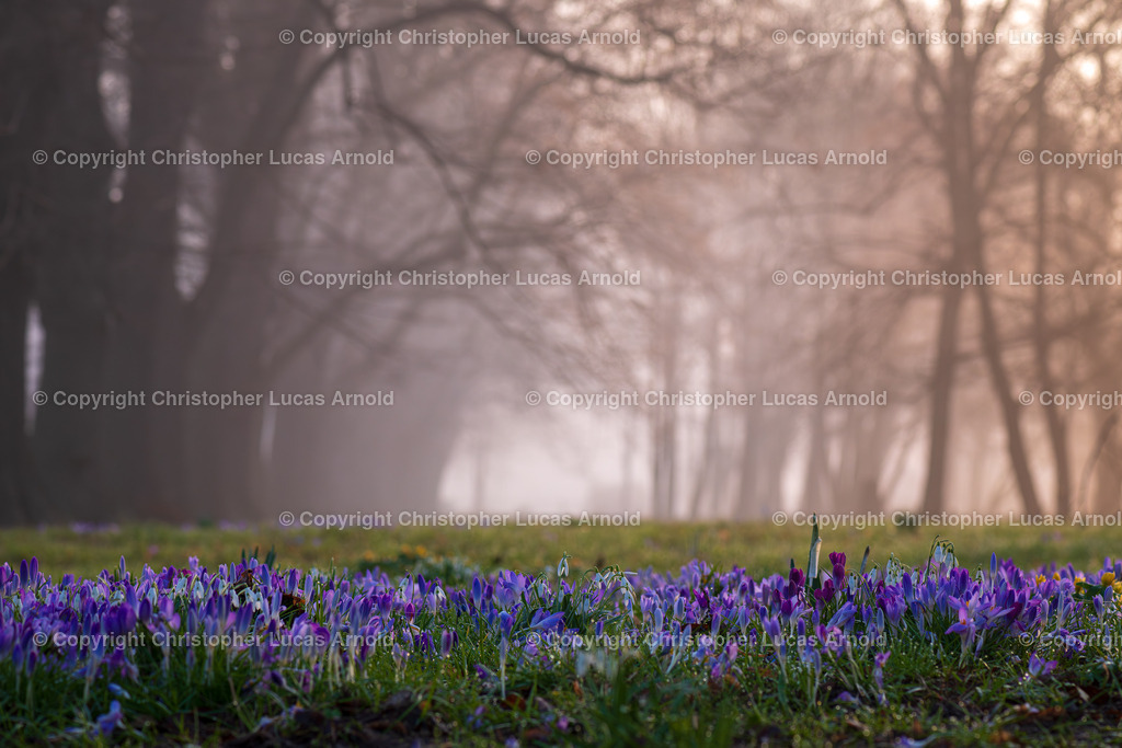 003 - März | bildkomponist - Realisiert mit Pictrs.com