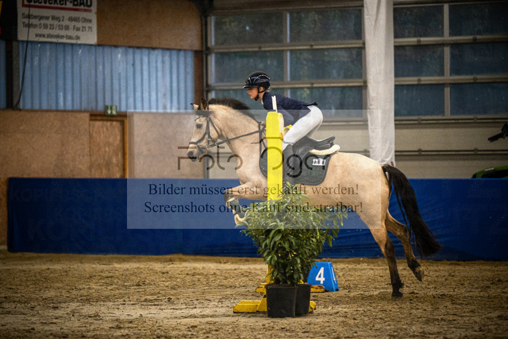 DOS_0981 | Entdecke hochwertige Reitturnierfotos von Foto Oger. Professionell, emotional und authentisch – jetzt Lieblingsmomente im Shop bestellen.Deutschlandweite Turnierfotografie. - Realisiert mit Pictrs.com