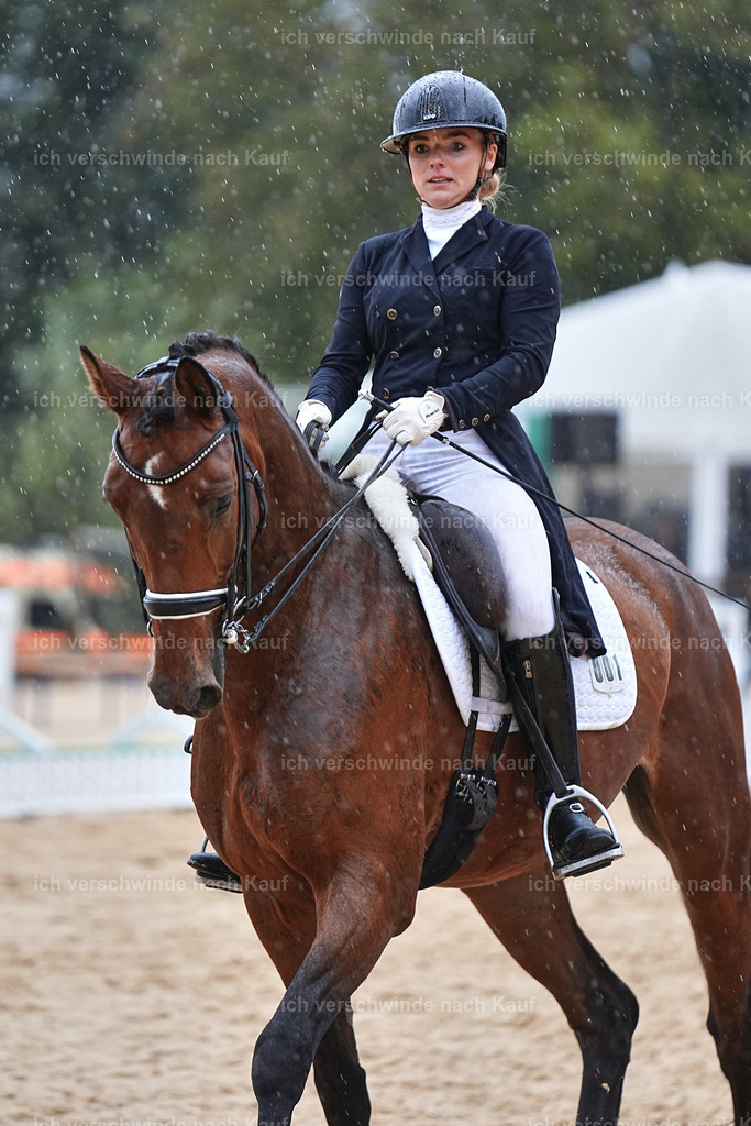 8_1-001-Klasse S_  -Marixx-4326 | working equitationturnier fotograf videograf stoibphotography marixx film working equitation deutschland reitsport turnierfotografie eventfotografie equestrian events