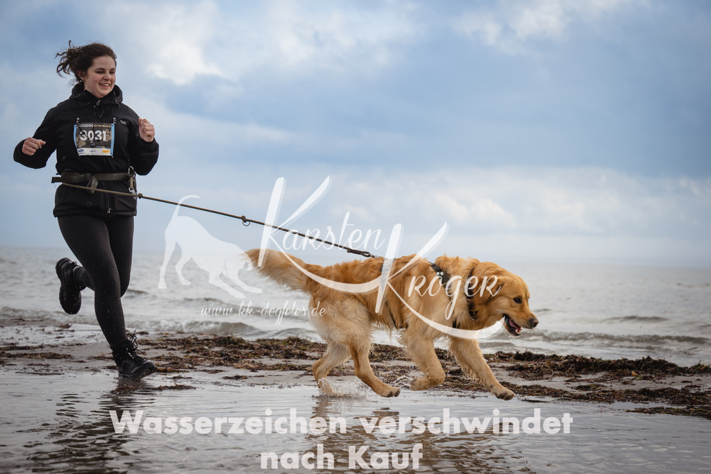 1213_ZZ95313 | kk-dogfotos