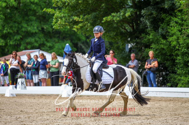 DKP46296 | Turnierfotos kaufen im Webshop von Daniel Kuhl Photography – entdecke professionelle Reitsportfotos aus Turnieren & Events. Hochwertige Turnierbilder online bestellen & sichern. Jetzt Fotos von Reitsportturnieren kaufen!