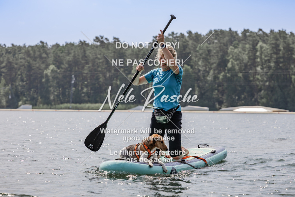 BUHU_SUP_720 | nelerasche