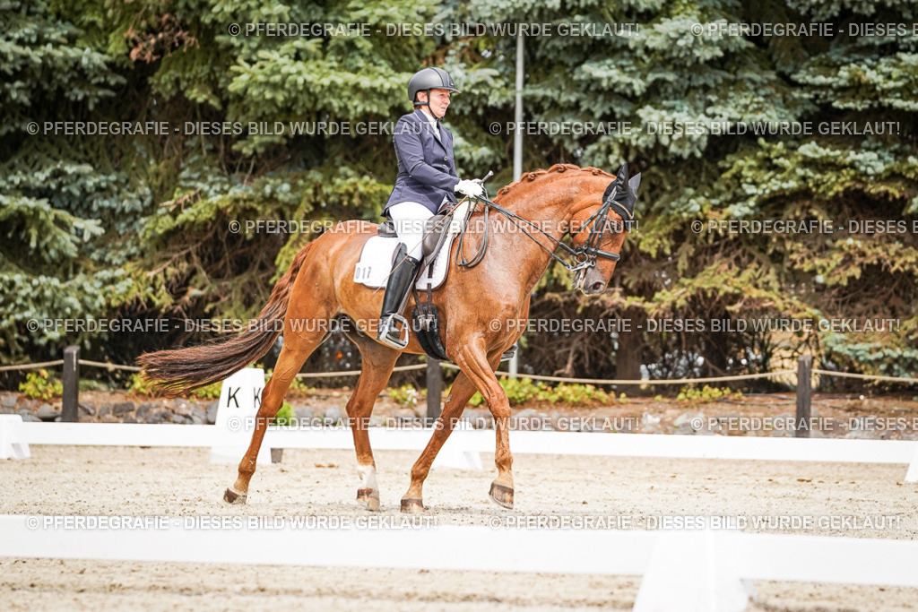 DSC04970 | Pferdegrafie