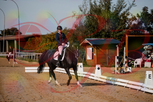 2026_10_03_Siefer-Hof_113339_Z63_20054261 | Professionelle Reitsport-, Turnier- und Eventfotografie von Robert Broda. Galerien mit ausgewählten und bearbeiteten Bildern direkt online ansehen und bestellen.