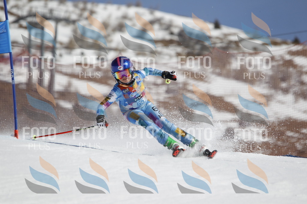 _U3G9473 | holidayphoto