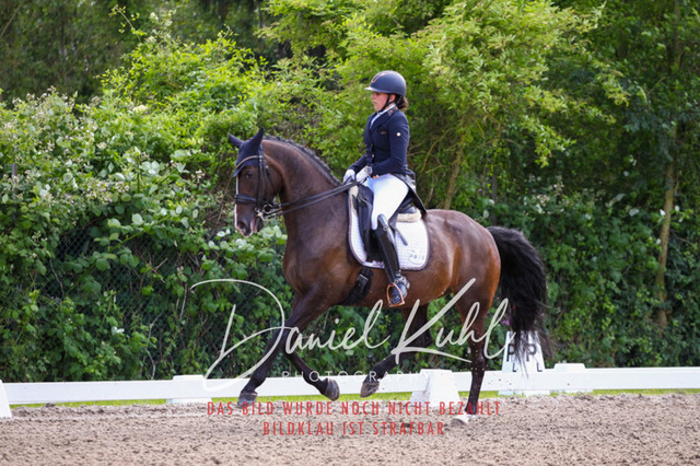 DKP41365 | Turnierfotos kaufen im Webshop von Daniel Kuhl Photography – entdecke professionelle Reitsportfotos aus Turnieren & Events. Hochwertige Turnierbilder online bestellen & sichern. Jetzt Fotos von Reitsportturnieren kaufen!