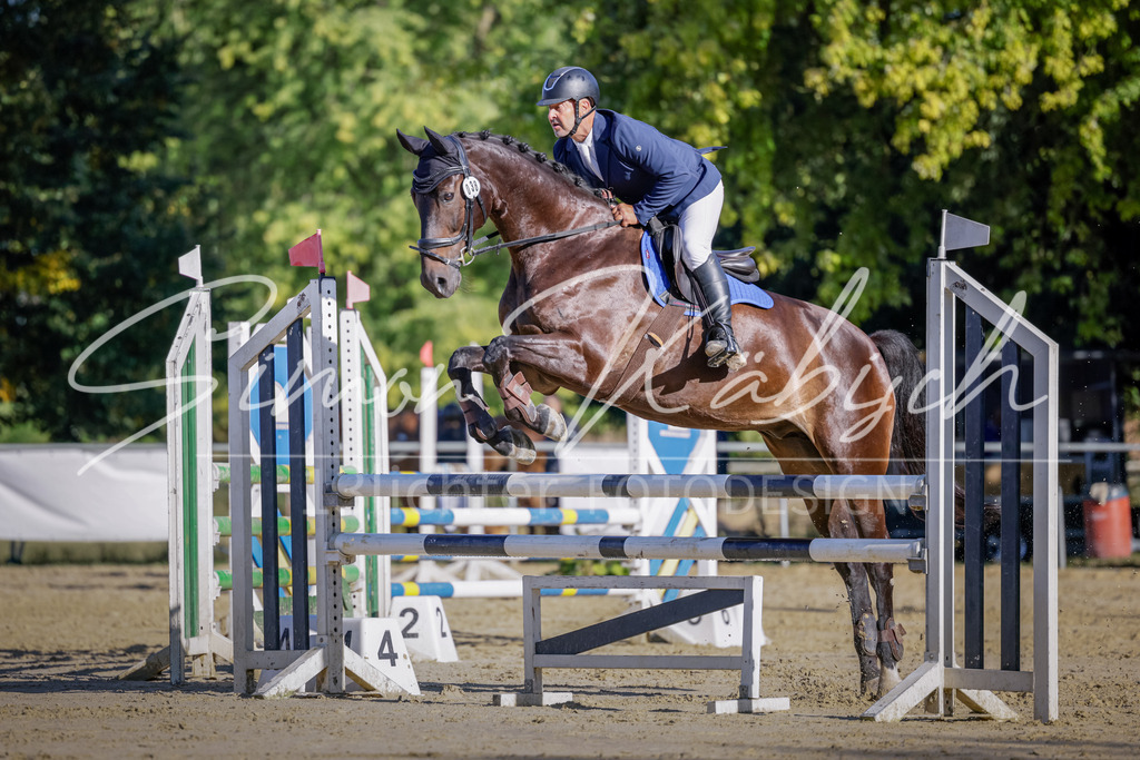 20250906-_3LI3093 | Tierfotografie Pferde, Hunde, Katzen, Haustiere.
Turnierfotografie Reitturniere, Reiten, Springreiten, Dressur in Hanau, dem Main-Kinzig-Kreis und dem Rhein-Main- Gebiet um Frankfurt