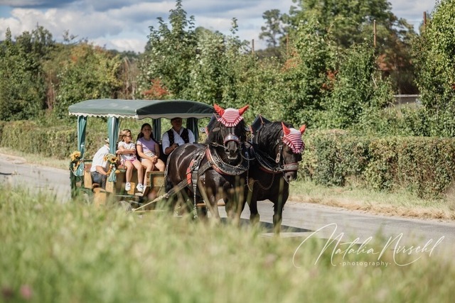 7V6A1848 | natalia-nirschl-photography