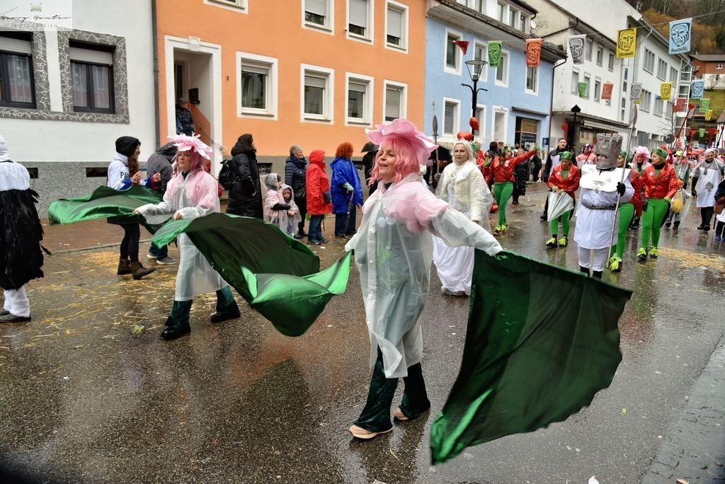 Umzug Mon _26-017-RA | Fotoblog Schwarzwald, Foto Blog Wiesental, Pfaffenberg, Winterzauber, Zeller Bergland, Zell im Wiesental, Fotoblog Wiesental, Landschaftsfotos, Bilder Wiesental, Natur, Naturbilder, Fastnacht, Zeller Fastnacht, Zeller Fasnacht, Zeller Bergland, Belchen, - Realisiert mit Pictrs.com