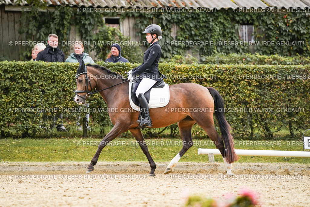 DSC01036 | Pferdegrafie