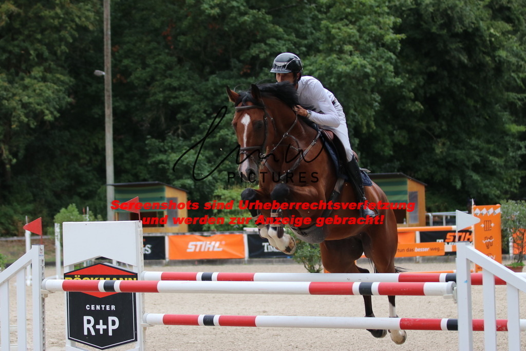 IMG_2866 | lmwpictures - Realisiert mit Pictrs.com