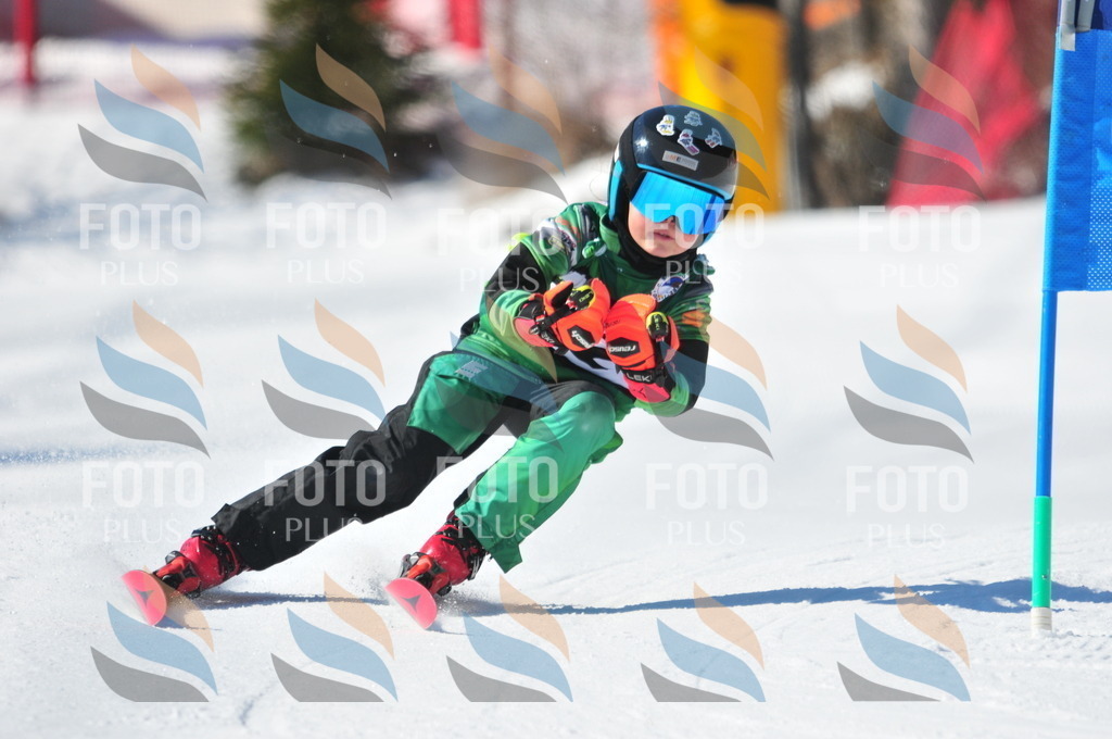 C2301 | holidayphoto