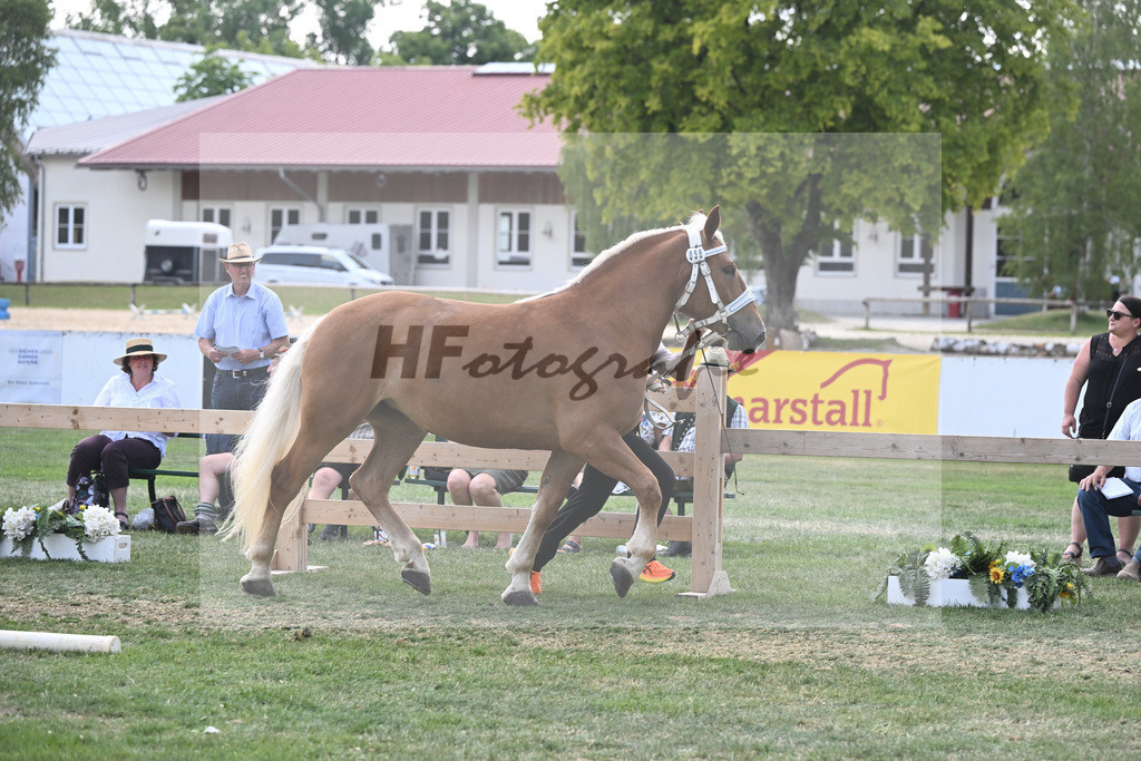 Kat-Nr. 58 Kenia_Schroeder_20230935 | hf-fotografie - Realisiert mit Pictrs.com