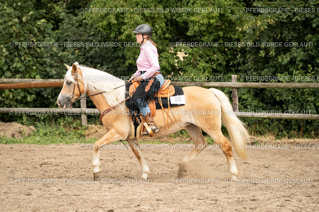 DSC00720 | Pferdegrafie